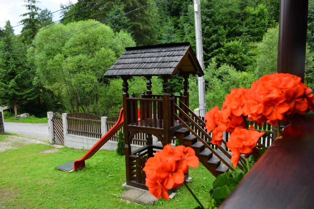 Cabana Cascada Cailor Ξενοδοχείο Borşa Εξωτερικό φωτογραφία