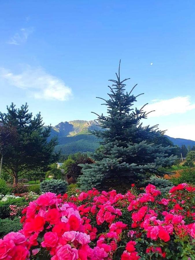Cabana Cascada Cailor Ξενοδοχείο Borşa Εξωτερικό φωτογραφία