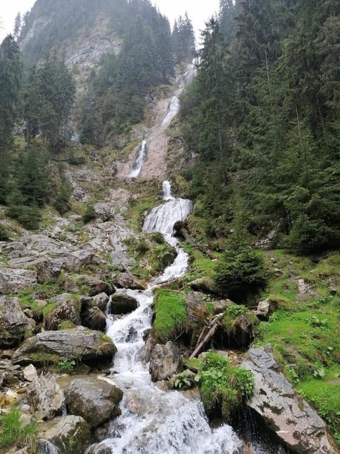 Cabana Cascada Cailor Ξενοδοχείο Borşa Εξωτερικό φωτογραφία