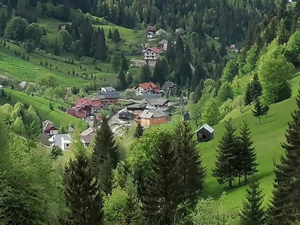 Cabana Cascada Cailor Ξενοδοχείο Borşa Εξωτερικό φωτογραφία
