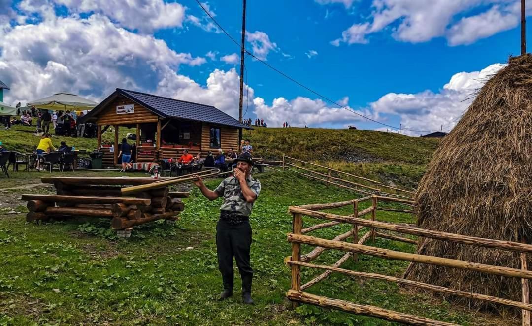 Cabana Cascada Cailor Ξενοδοχείο Borşa Εξωτερικό φωτογραφία